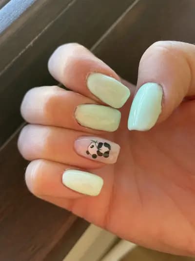 MD Beauty Empire