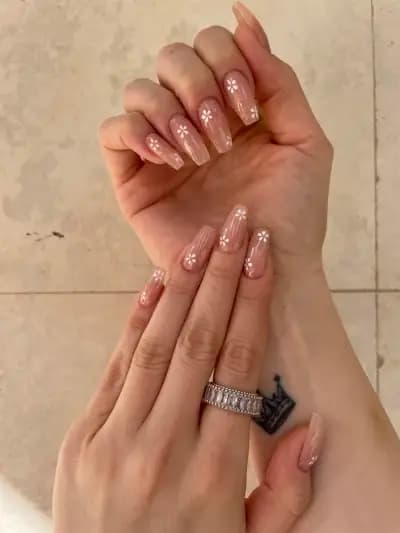 MD Beauty Empire