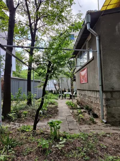 Школа "Millennium Academy"