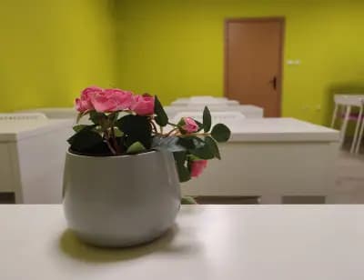 Детска занималня "Вила Вилекула"