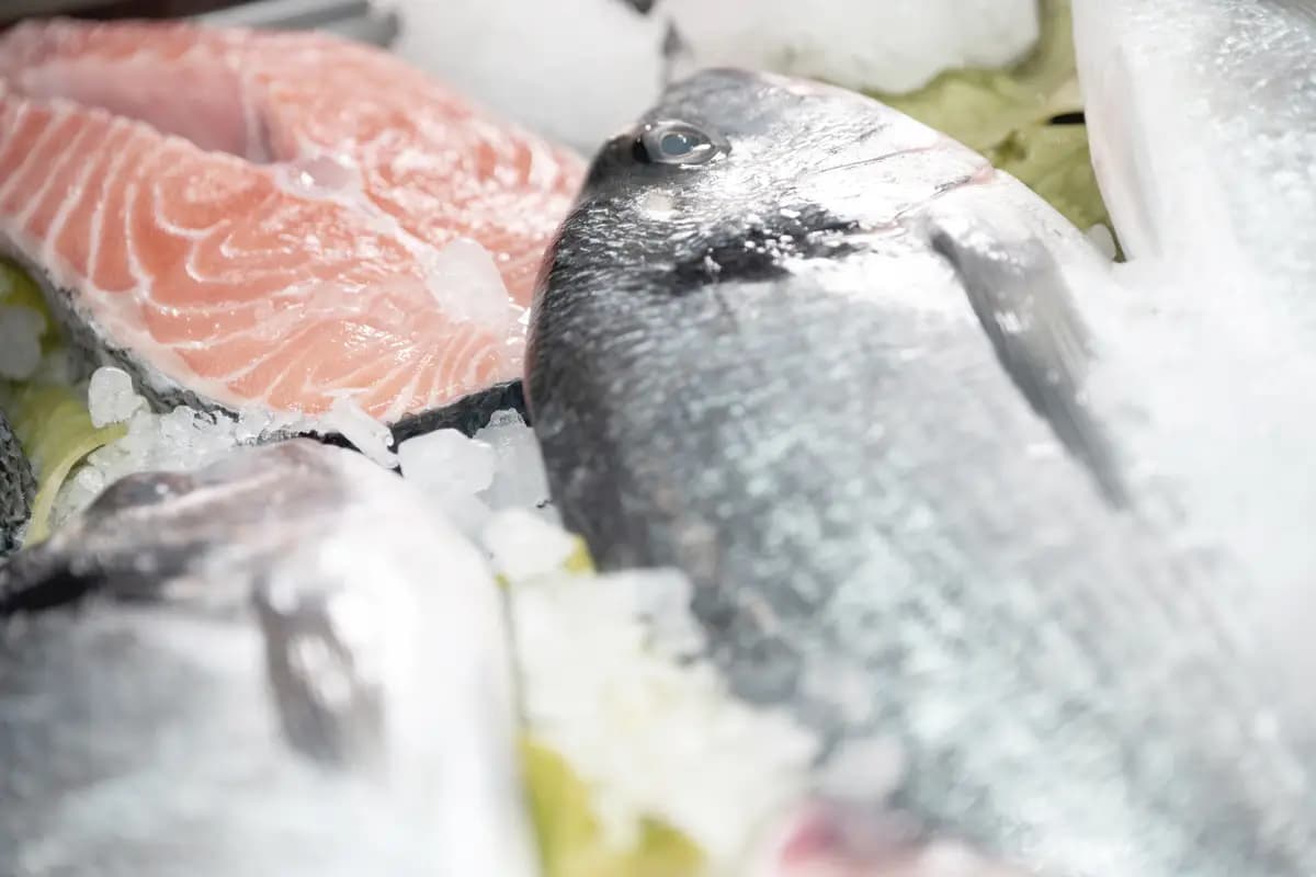 ОТБРАНО - Специализиран магазин за месо и риба