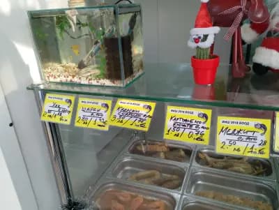 РИБА ПЪРЖЕНА, ПЕЧЕНА И ПРЯСНА