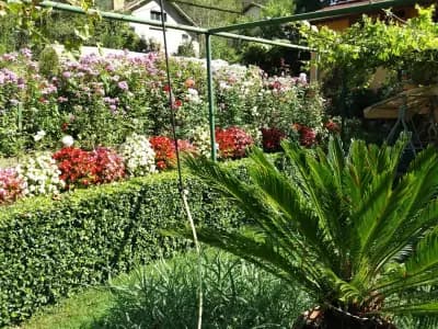 Басейн Батулия