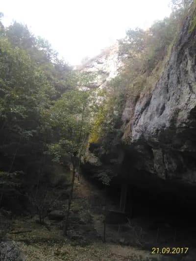 Целодневна детска градина „Детелина“