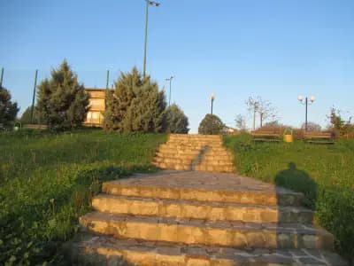 Целодневна детска градина „Морско конче“