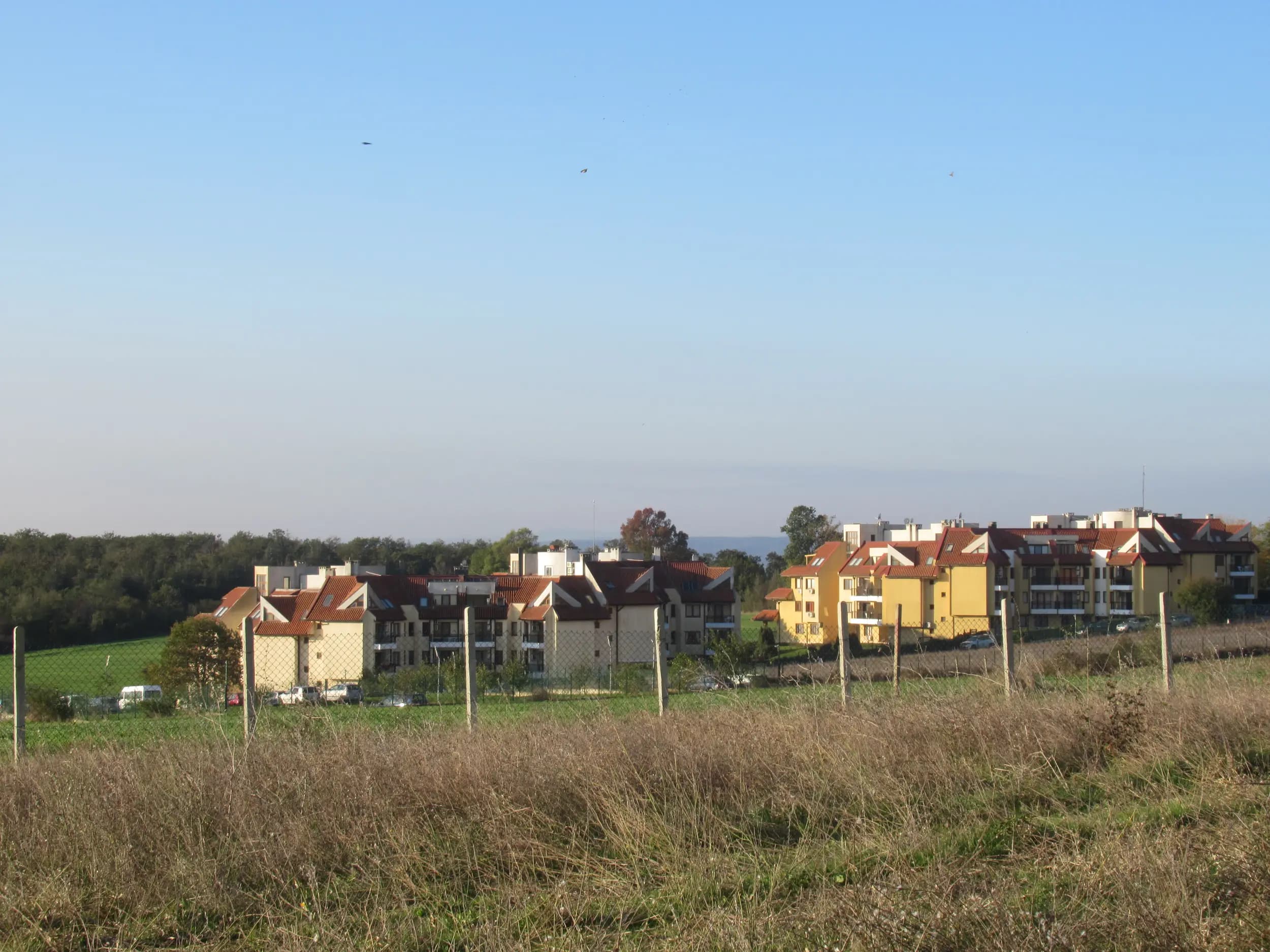 Целодневна детска градина „Морско конче“