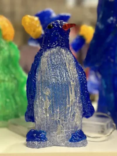 Енигма ЕООД