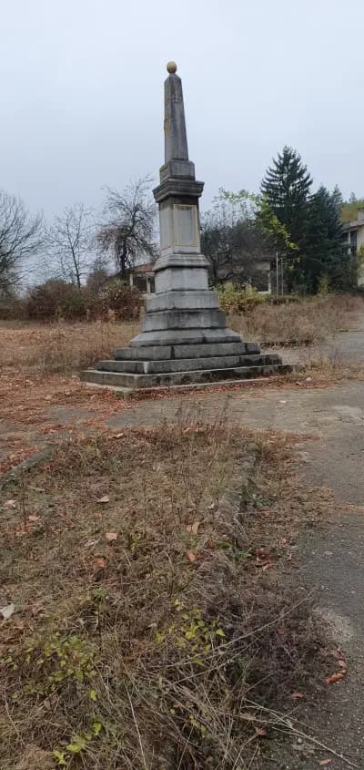 Община Чупрене