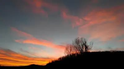 Община Чупрене