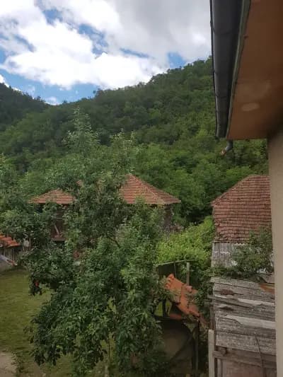 Община Чупрене