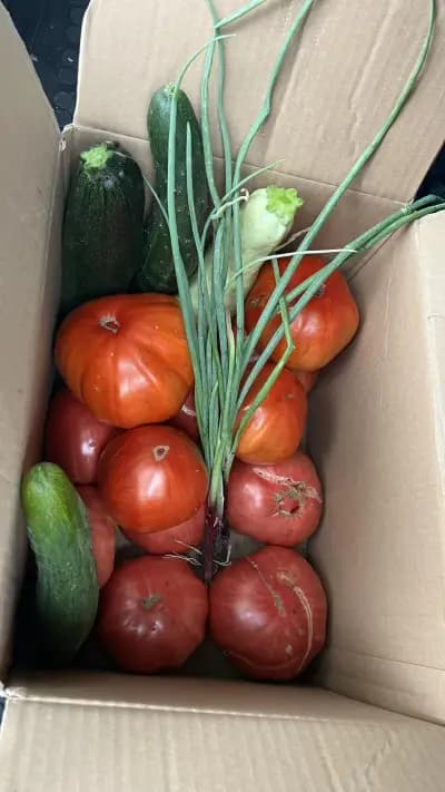 Пишмански зеленчуци