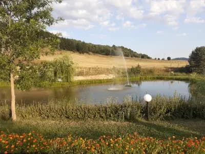 Парк-хотел Орлов камък