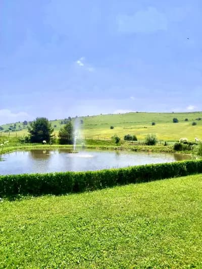 Парк-хотел Орлов камък