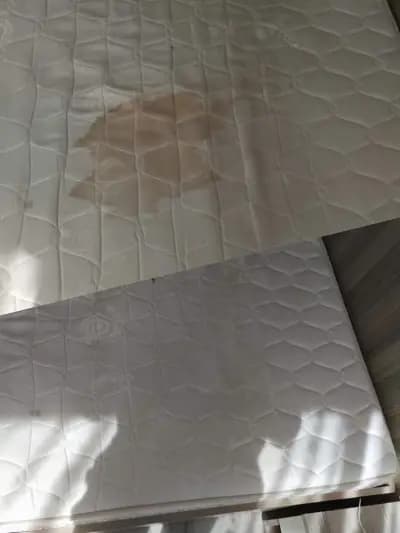 Професионално почистване Lili Cleaning