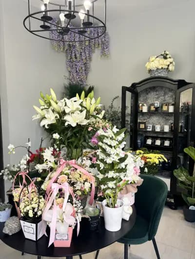 Wisteria Lane Flower Shop
