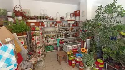 Цветарница Панкови - цветя - flowers - flori -цветы