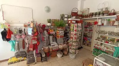 Цветарница Панкови - цветя - flowers - flori -цветы