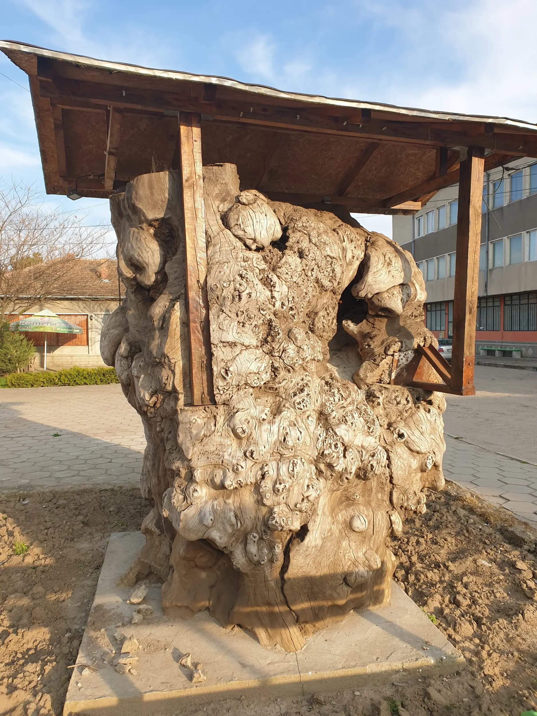 Кметство Недан