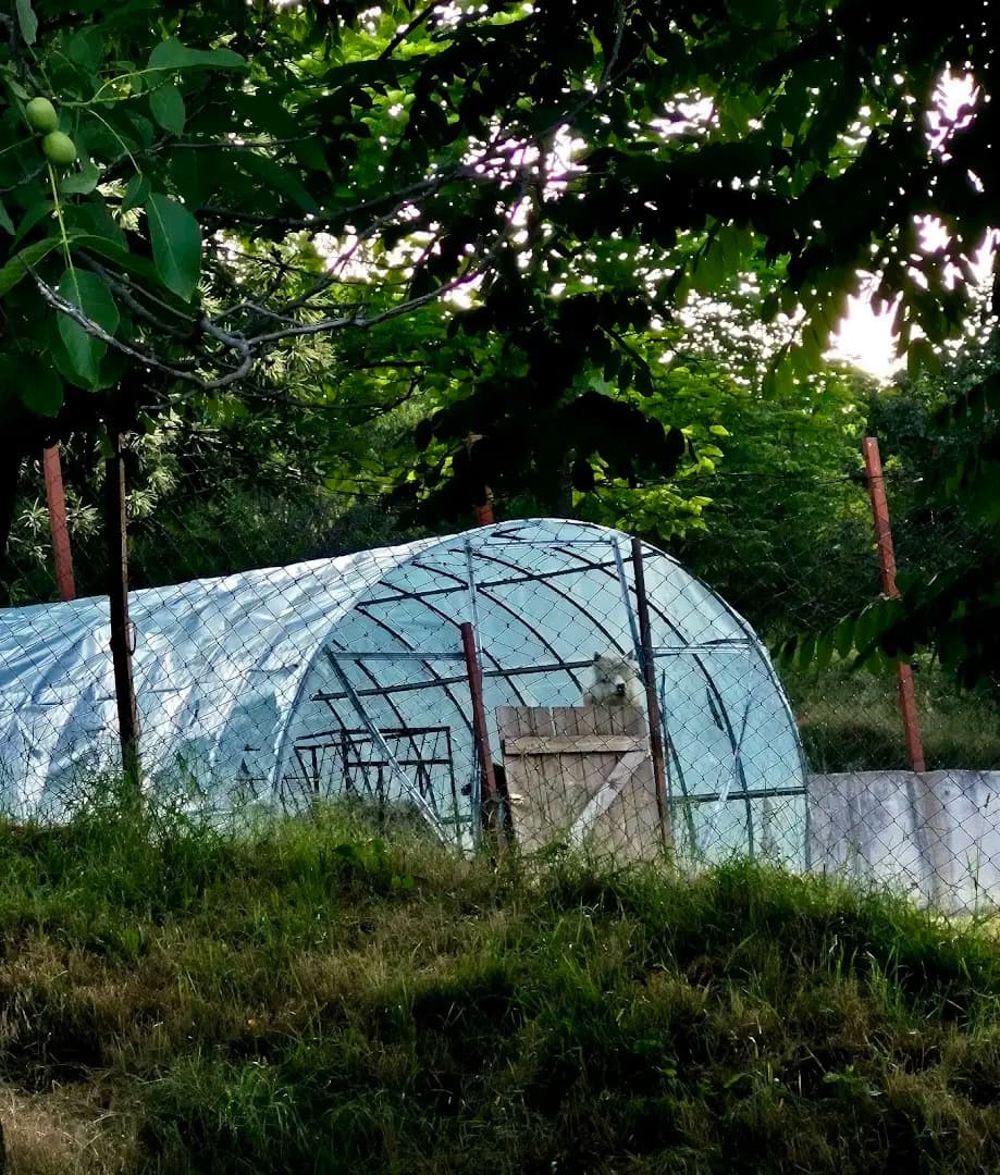 Язовир Дарис