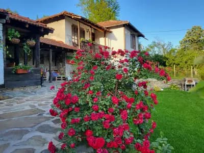 Къща за гости Павела