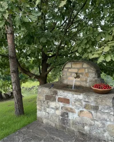 Балканска Мечта