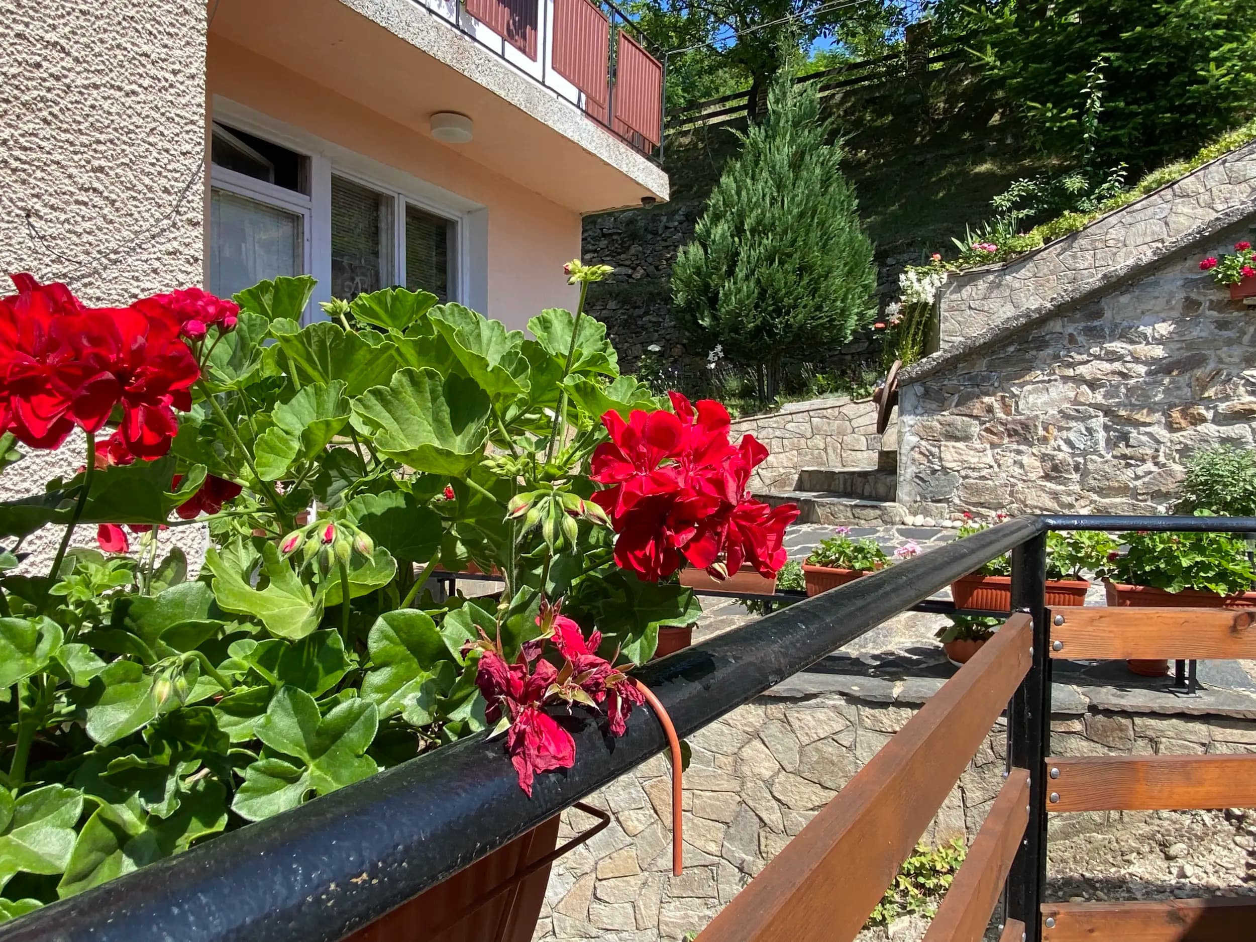 Къща за гости Дара с.Вишнево