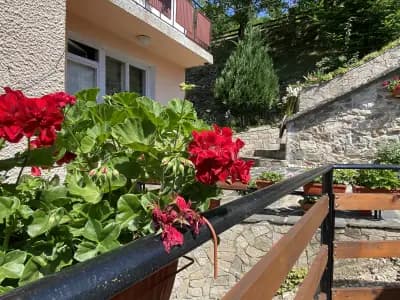 Къща за гости Дара с.Вишнево