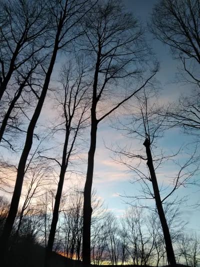 Семеен хотел "Узана"