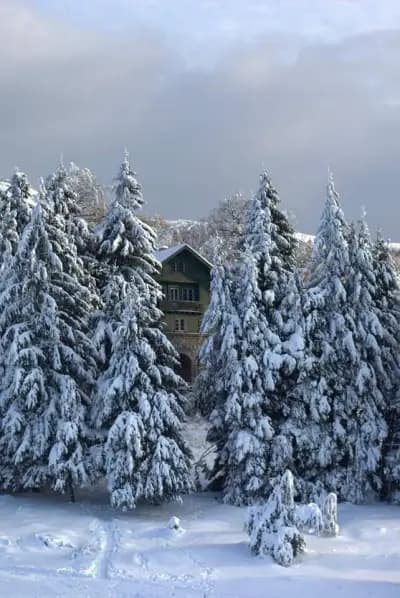 Семеен хотел "Узана"