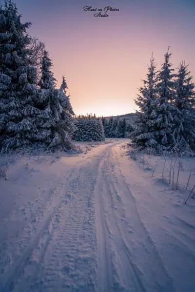 Семеен хотел "Узана"