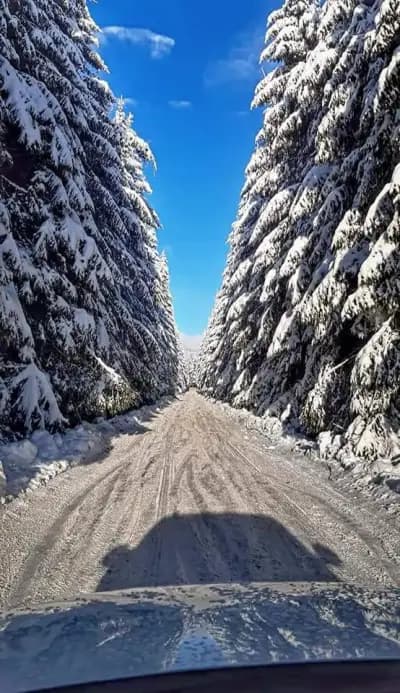 Семеен хотел "Узана"