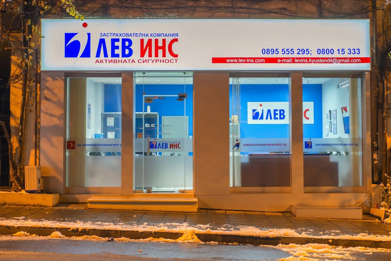 ЗК Лев Инс