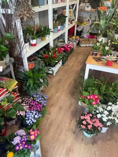 FLOWER SHOP “IDA PIER”