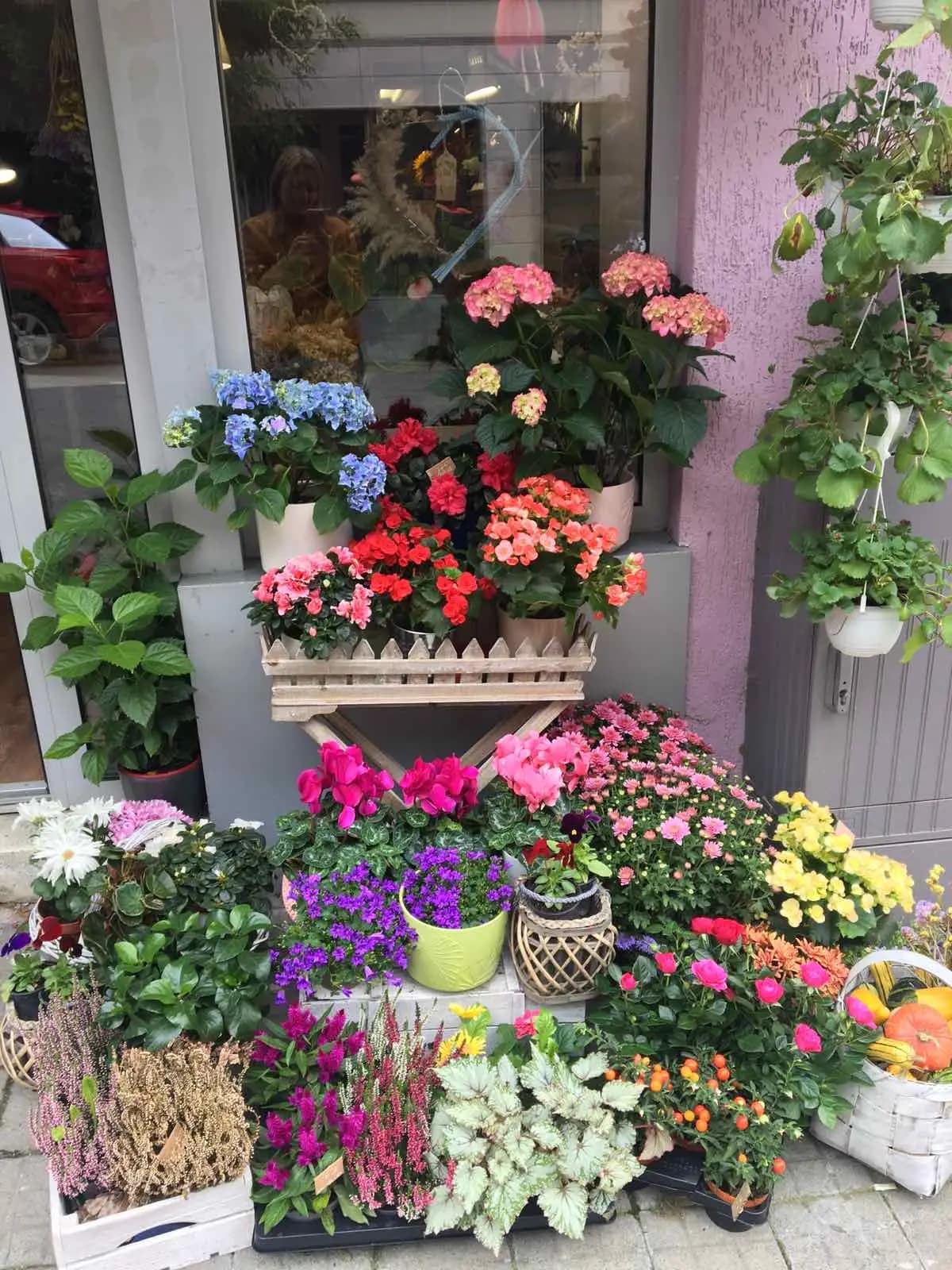 FLOWER SHOP “IDA PIER”