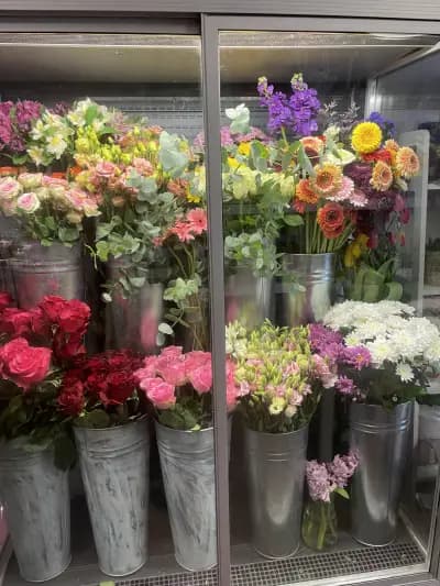 FLOWER SHOP “IDA PIER”