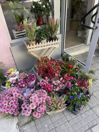 FLOWER SHOP “IDA PIER”
