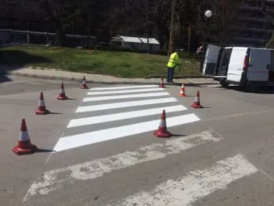 Traffic Daily