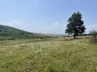 Божият мост