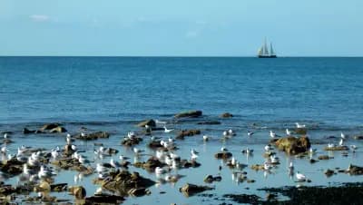 Неохраняем плаж Робинзон