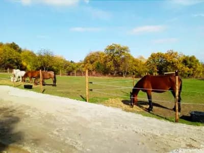 Конна База Пегасус