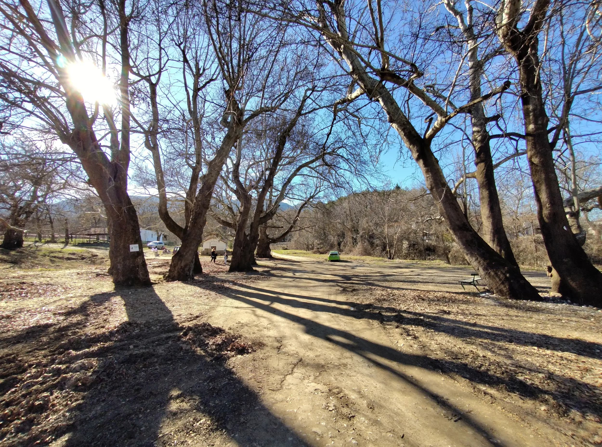 Конна База Пегасус