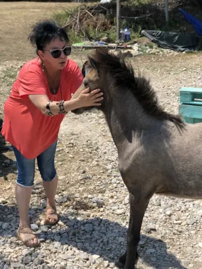 Конна База Пегасус