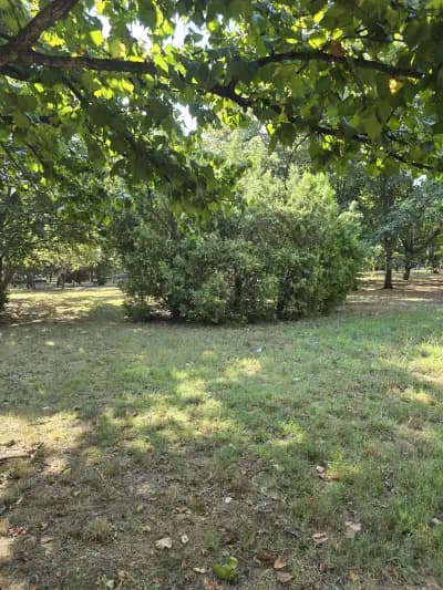 Park with a playground