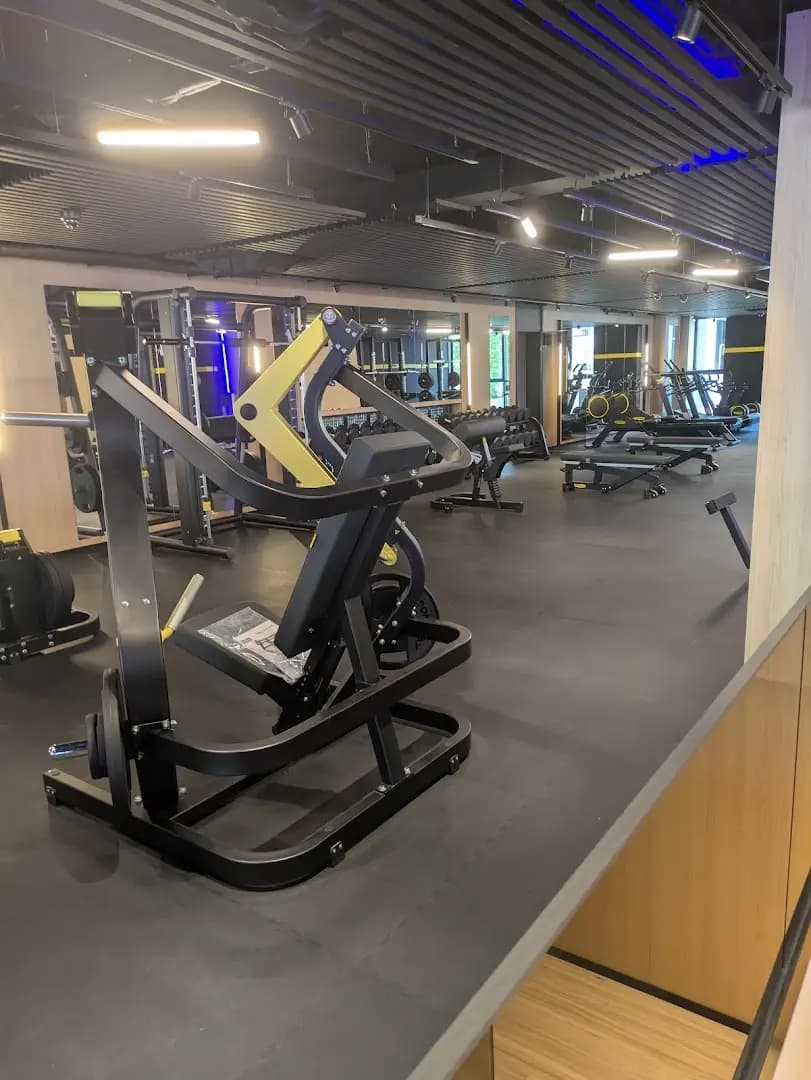 Ivy fitness