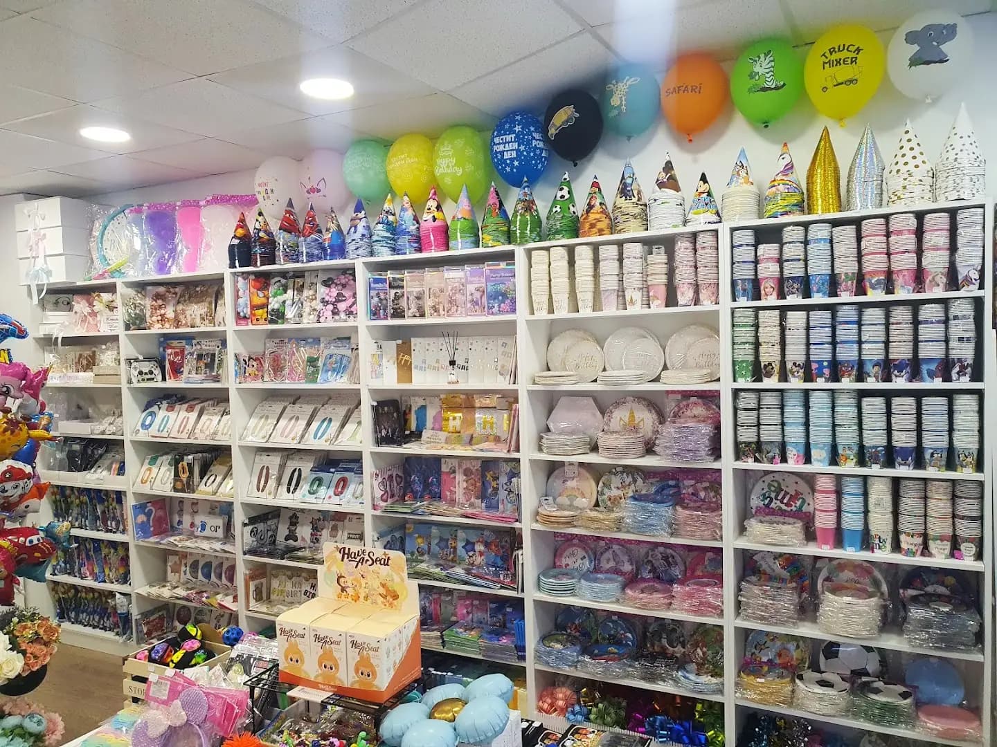 PARTY LAND