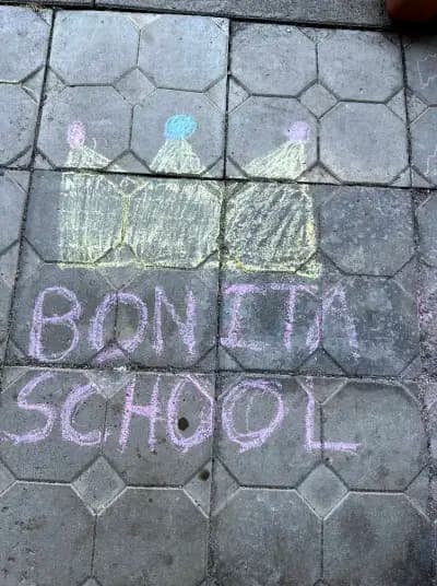 Школа Бонита