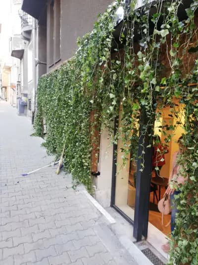 Озеленяване - Грийн Хироус ЕООД