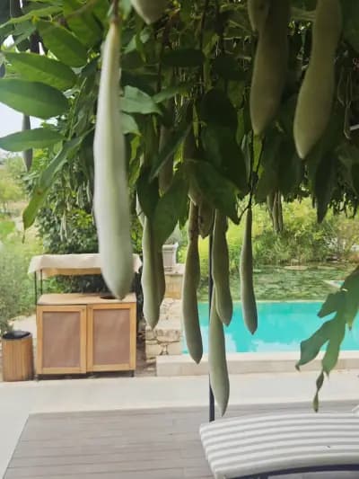 AYA Estate Hotel Relais & Chateaux