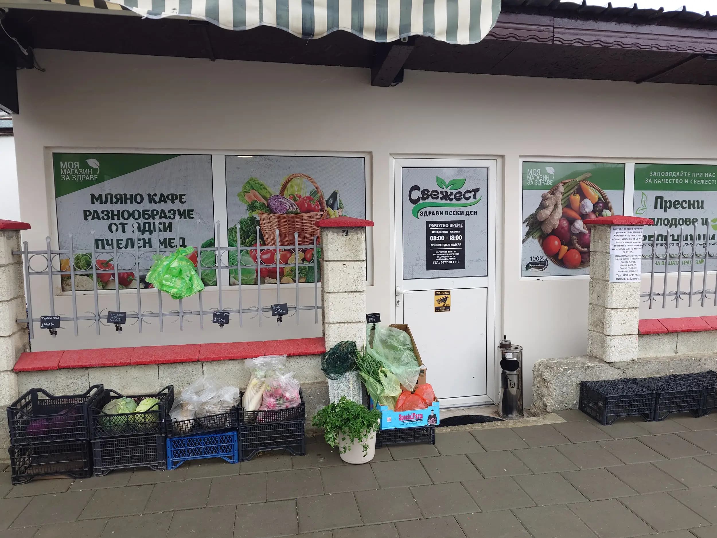 Георгиев Фрукт 05