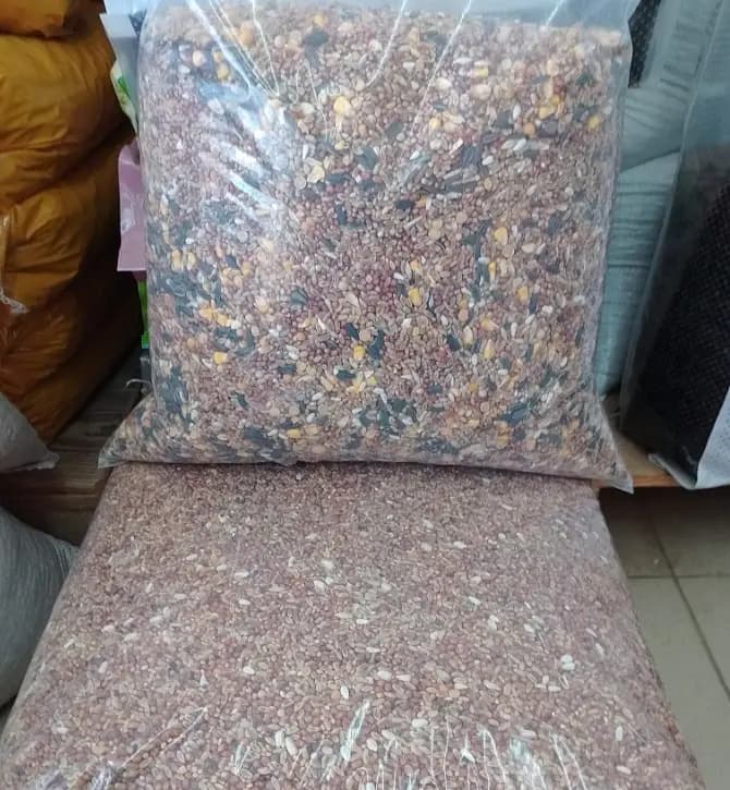 Зоомагазин ДАЛИ ЗОО Нови Пазар